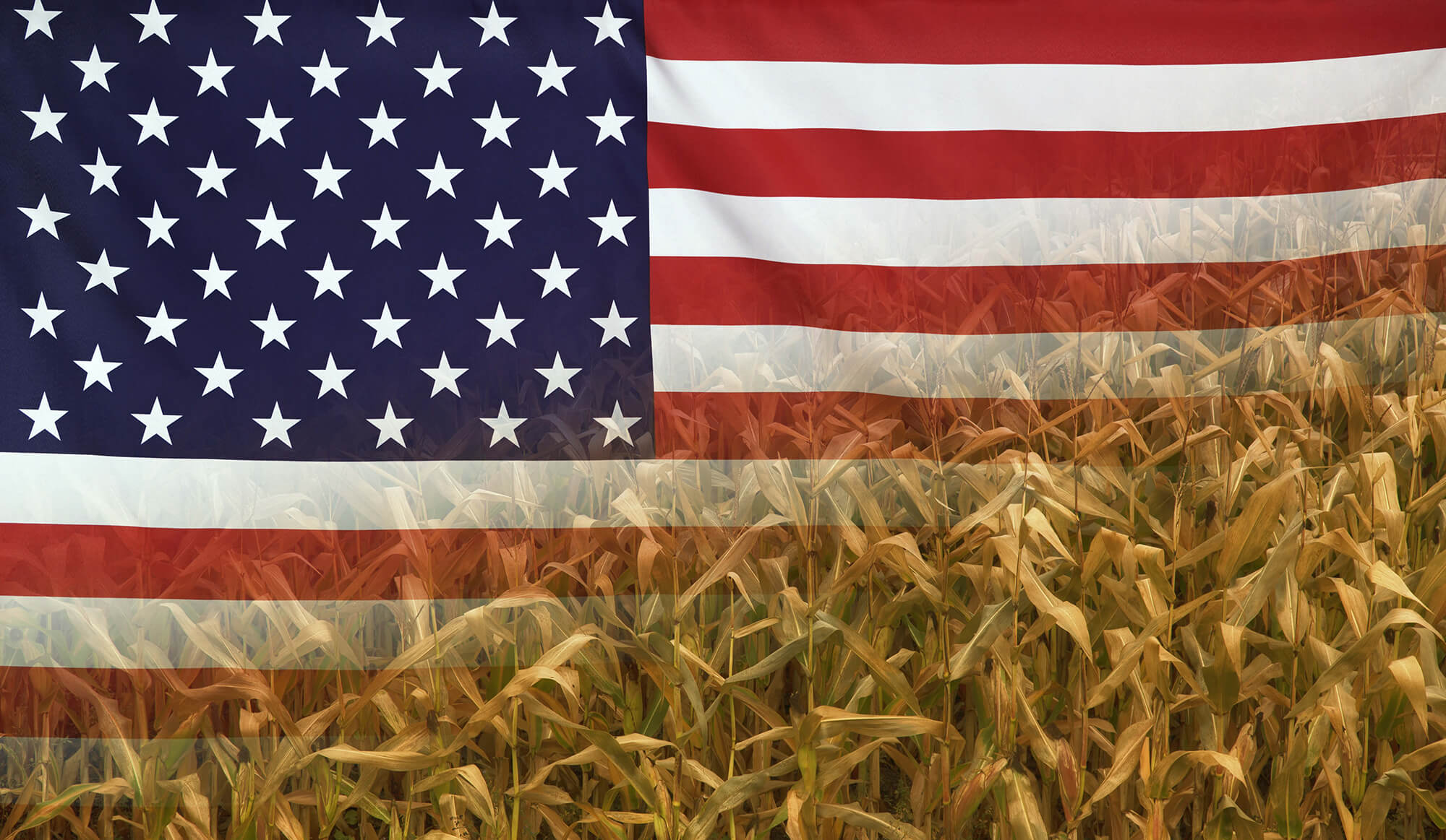 Usda Crop Conditions Report Usda Crop Conditions Report